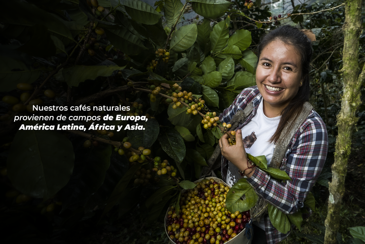 Rooibos con Caramelo y Canela (Compatible Nespresso) (10 u.)